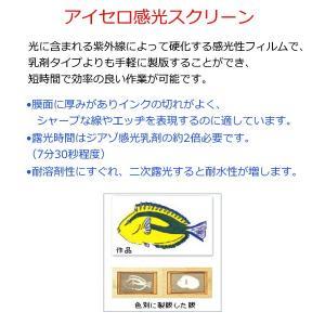 アイセロ貼りスクリーン 標準判 内寸 約110...の詳細画像2