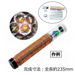 虫めがね φ4.5×10cm ネコポス 20個まで 虫眼鏡 理科 教材 拡大 ルーペ