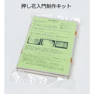 押し花入門製作キット