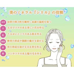 水 シリカ水 霧島福寿鉱泉水 10L箱 シリカ...の詳細画像2