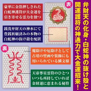 白蛇 蛇の抜け殻 金運 お守り 「白蛇神金財符...の詳細画像2