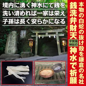 白蛇 蛇の抜け殻 金運 お守り 「白蛇神金財符...の詳細画像3