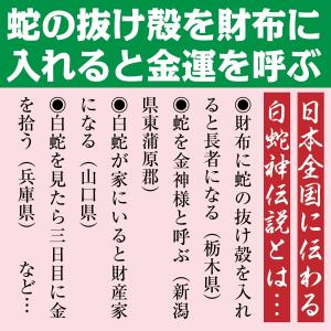 白蛇 蛇の抜け殻 金運 お守り 「白蛇神金財符...の詳細画像4
