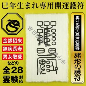 巳年 み年 へび年 お守り 干支 開運護符 金運 恋愛運 健康運 何事も全てうまくいく強力な護符（財布に入る名刺サイズ）｜295150