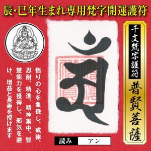 干支 梵字 護符 開運 お守り 辰年(たつ年)巳年(へび年) 守護本尊「普賢菩薩」金運 恋愛運 健康運 何事も全てうまくいく強力な護符(財布に入る名刺サイズ)