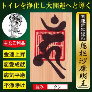 病気平癒】開運梵字護符「薬師如来」 ひのき お守り 良氣を全身に