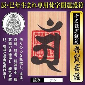 辰年 たつ年 巳年 へび年 干支梵字護符 開運お守り 守護本尊 普賢菩薩 天然木ひのき紙 金運 恋愛運 健康運 何事も全てうまくいく護符 名刺サイズ 最安値 価格比較 Yahoo ショッピング 口コミ 評判からも探せる