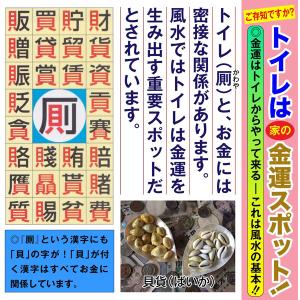 トイレ 風水絵画 「開運 厄除・消災南天福寿」...の詳細画像1