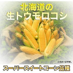 北海道産 冷凍 ホールコーン 業務用1kgの詳細画像1