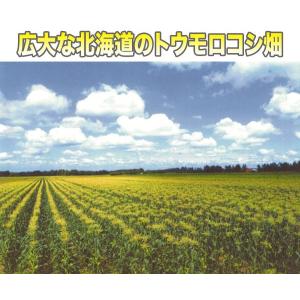 北海道産 冷凍 ホールコーン 業務用1kgの詳細画像2