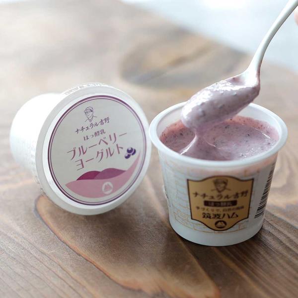 ブルーベリーヨーグルト 筑波ハム 食べるヨーグルト 加糖 国産 茨城県産 乳製品 ヨーグルト 特産品