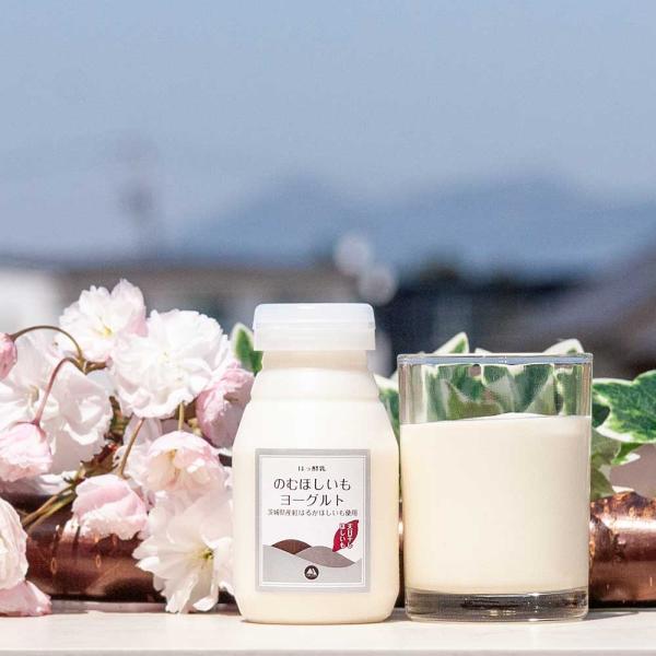 【11月〜3月 期間限定】 のむほしいもヨーグルト 150ml 筑波ハム 飲むヨーグルト 加糖 国産...