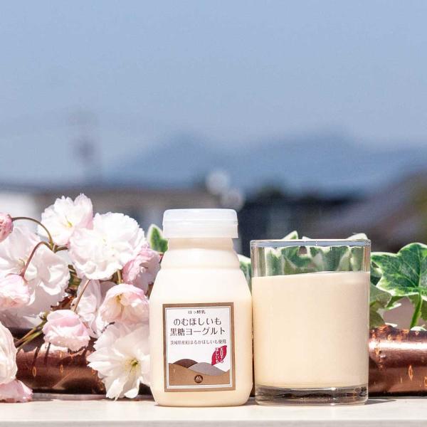 【11月〜3月 期間限定】 のむほしいも黒糖ヨーグルト 150ml 筑波ハム 飲むヨーグルト 加糖 ...