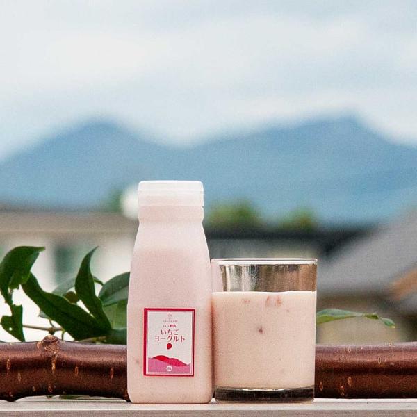 【期間限定】 ドリンクヨーグルト（いちご） 筑波ハム 飲むヨーグルト 加糖 国産 茨城県産 乳製品 ...