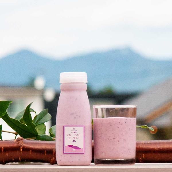 ドリンクヨーグルト（ブルーベリー） 筑波ハム 飲むヨーグルト 加糖 国産 茨城県産 乳製品 つくば市...