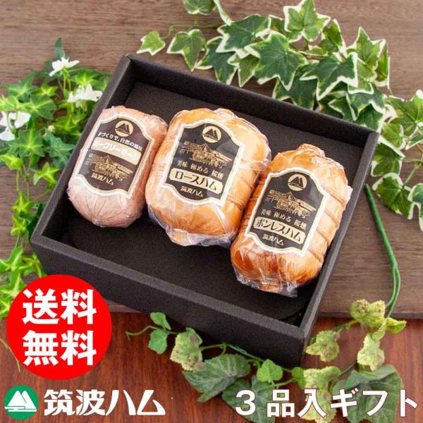 内祝い お礼 お祝い 筑波ハム ギフトセット22-02s 送料無料 ハム 土日出荷可能 御礼 御祝 ...