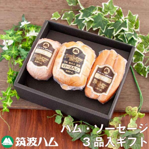 内祝い お礼 お祝い 筑波ハム ギフトセット22-05 ハム ソーセージ 土日出荷可能 御礼 御祝 ...