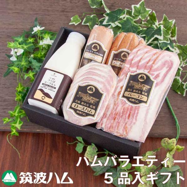 内祝い お礼 お祝い 筑波ハム ギフトセット22-10 ハム ベーコン ソーセージ ヨーグルト 土日...