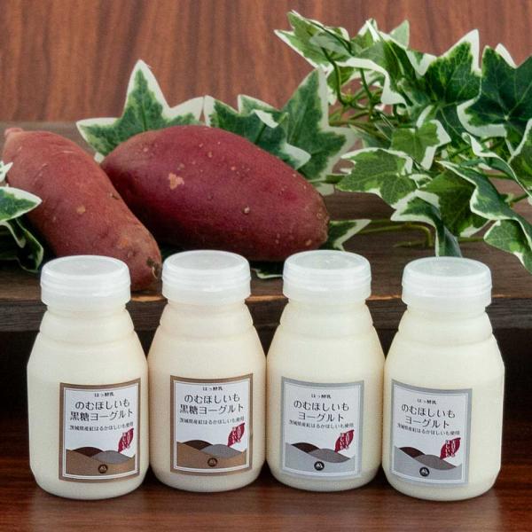 飲むほしいもヨーグルト 飲み比べパック 筑波ハム 飲むヨーグルト 加糖 国産 茨城県産 乳製品 ほし...