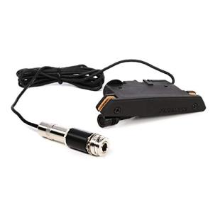 フィッシュマン　レアアースブレンド Rare Earth Mic Blend Active Soundhole Pickup