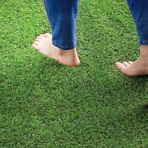 アイリスオーヤマ 国産 防草人工芝 2m×5m 芝丈3cm 防カビ仕様 防草仕様なので雑草対策不要 RP-3025の商品画像