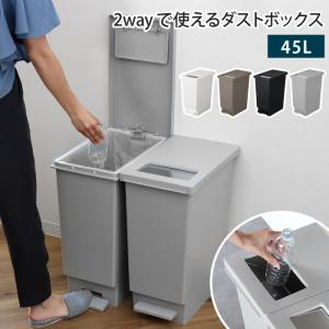 ゴミ箱 プッシュ＆ペダル 45L 45リットル 1個 2way ふた付き ごみ箱 ダストボックス 足踏み ペダル式 ペダルペール ステンレス 角型 縦型 分別 台所 キッチン｜2e-unit