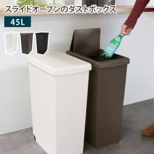 ゴミ箱 スライドペール 45L 45リットル ふた付き 1個 キャスター付き ごみ箱 ダストボックス スライド式 角型 縦型 長方形 分別 台所 キッチン スリム｜2e-unit