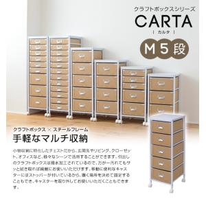 クラフトボックスシリーズ CARTA M5段 送料無料｜2e-unit
