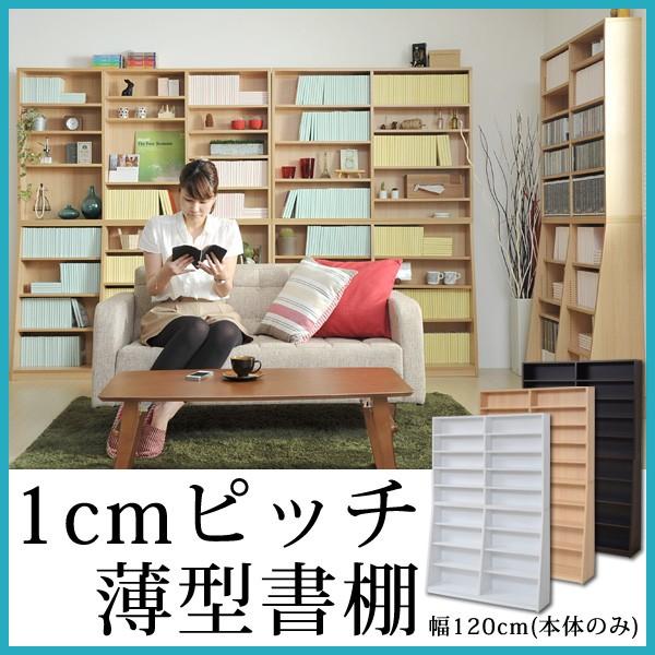 1ｃｍピッチ大収納ラック120幅 (こんなに薄くて脅威の収納量！1cmピッチ大収納ラック120幅)