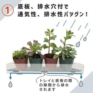 DAIM 多肉マンション 雨よけ・日よけシート...の詳細画像2