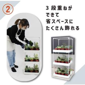 DAIM 多肉マンション 雨よけ・日よけシート...の詳細画像3