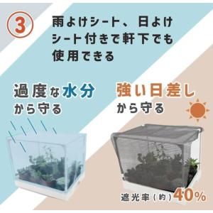 DAIM 多肉マンション 雨よけ・日よけシート...の詳細画像4