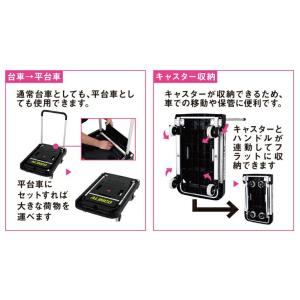 アルインコ ツインキャリー MTW-100 M...の詳細画像1