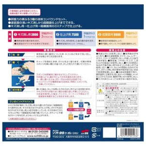 ソフト99 液体コンパウンドトライアルセット ...の詳細画像1