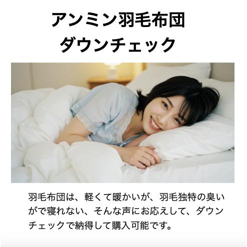アンミン羽毛布団 ダウンチェック