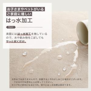 ラグ 洗える おしゃれ 185×240 カーペ...の詳細画像5