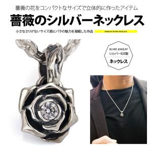 シルバーペンダントトップ pe2165 シルバーアクセサリー ペンダント