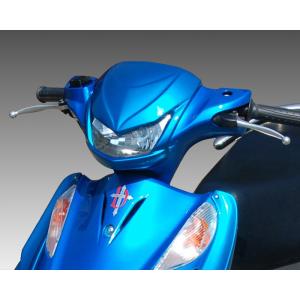 アドレスV125／フロントフェイスマスク(一般色塗装品）