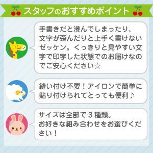 ゼッケン 体操服 運動会 体育 名前 印刷 お...の詳細画像3