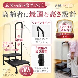 【段差の高い玄関の踏み台】手すり付き2段踏み台...の詳細画像1