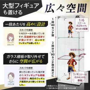 生活グッズラボ ショーケース ガラスケース 背...の詳細画像2