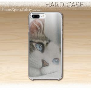 iPhone15 15Pro max ケース iPhone14 pro max 13 ケース ハードケース猫 アニマル 動物 かわいい｜301-shop