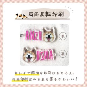 ＼ レビュー特典あり/【切り抜きサービス付き】...の詳細画像3