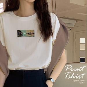 Tシャツ レディース 半袖 大人かわいい S M L Tシャツ 厚手 透けにくい 綿 100% おしゃれ かわいい 韓国 絵画 ロゴ エモい グラフィック 選べる4デザイン｜301-shop