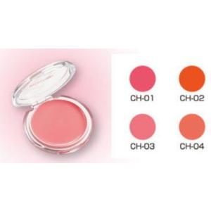 SHISEIDO フェイスパウダー 化粧下地 楽天市場】【SHISEIDO 公式】ベネフィアンス ブライトニング