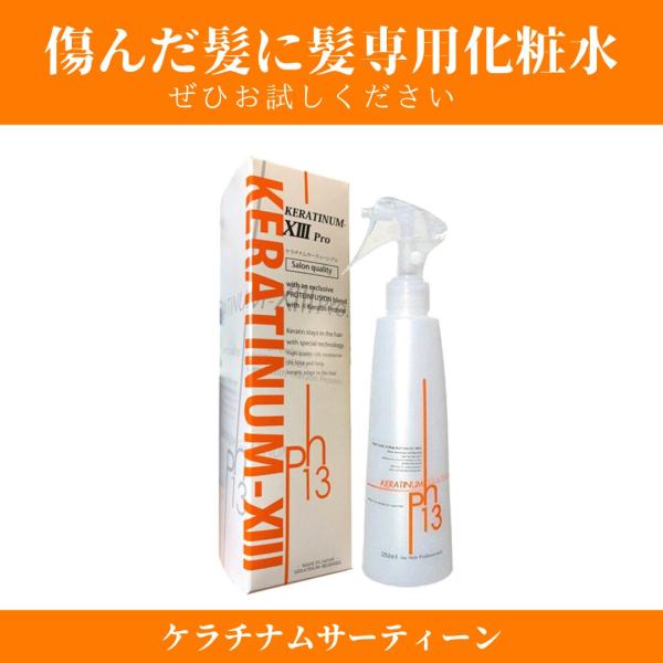 洗い流さないトリートメント ケラチナムサーティーンプロ 250ml ダメージケア トリートメント 美...