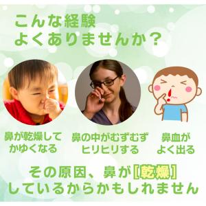 サイナスジェルスプレー(30ml 約150回分...の詳細画像2