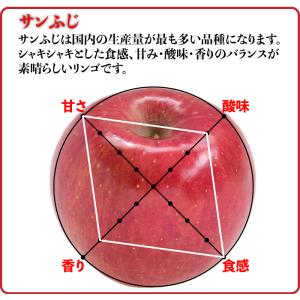訳ありりんご 10kg 40玉前後 青森県産 ...の詳細画像4