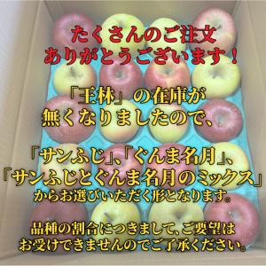 訳ありりんご 10kg 40玉前後 青森県産 ...の詳細画像2