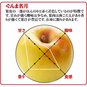 訳ありりんご 10kg 40玉前後 青森県産 ...の詳細画像5